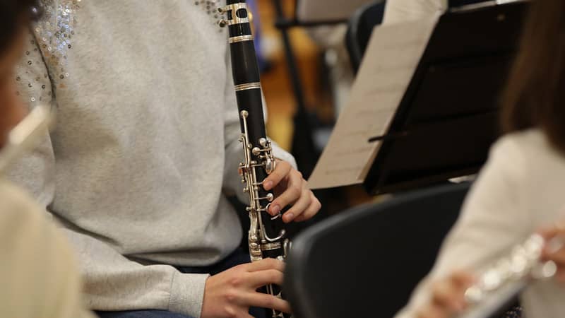 image - clarinet lessons Dublin - Dublin School of Music