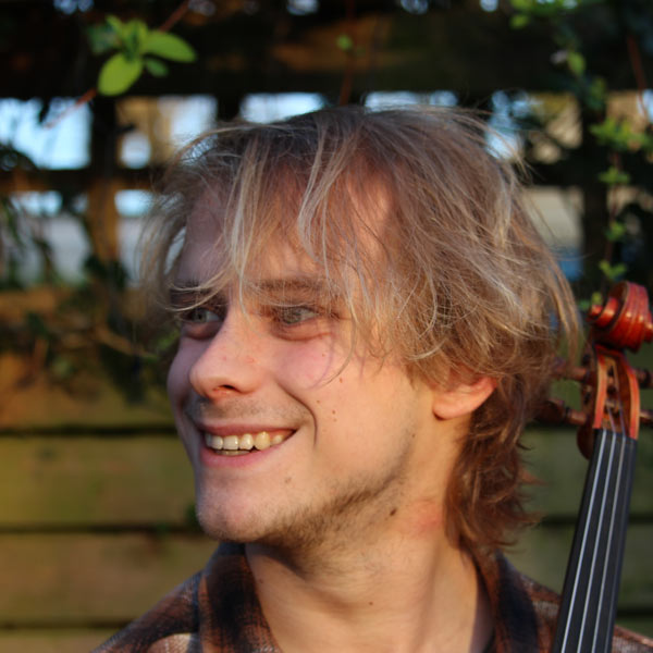 andré stokes violin teacher dublin